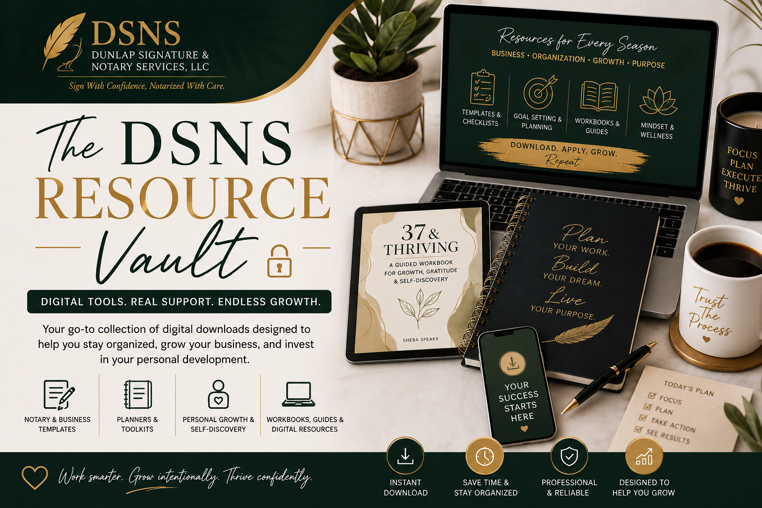 The DSNS Digital Vault