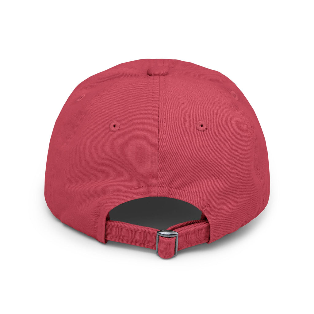 B.A.E. Bad Ass Entrepreneur Distressed Cap | Vintage Business Owner Hat